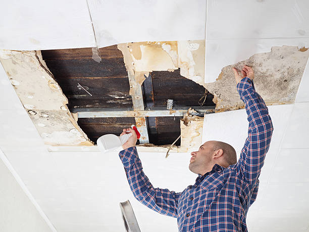 Best Mold Prevention Services  in Yazoo City, MS